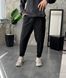 Брюки чоловічі STY sty101-S фото 1