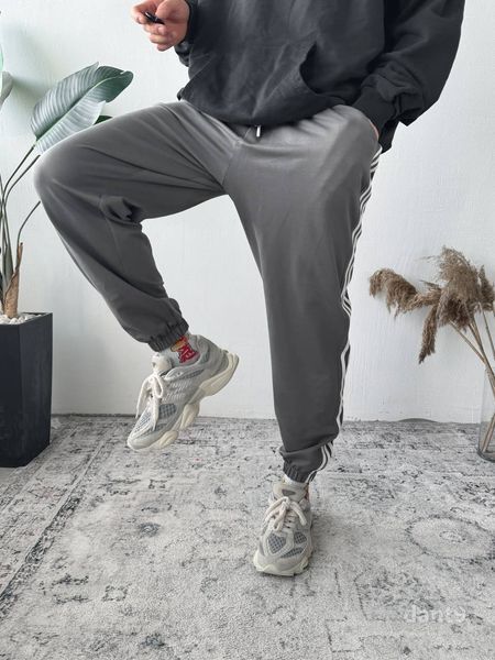 Штани джогери спортивні чоловічі з лампасами PantMove dant9-S фото